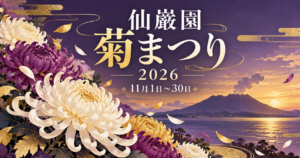 菊の花と桜島をイメージした背景に、仙巌園菊まつり2026の開催案内を配置したイラスト